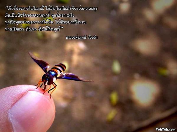 LoOkKaEW_G_0704250101_but.jpg