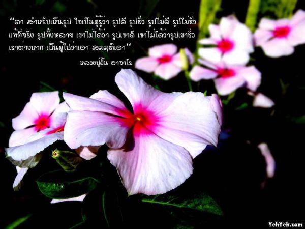 LoOkKaEW_G_0704250102.jpg