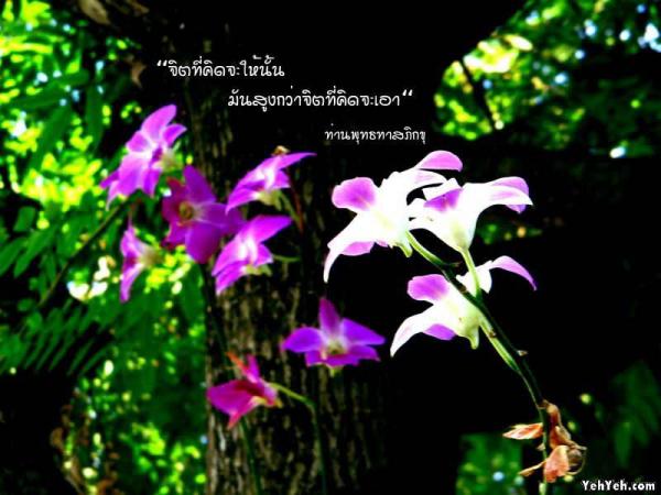LoOkKaEW_G_0704250103.jpg