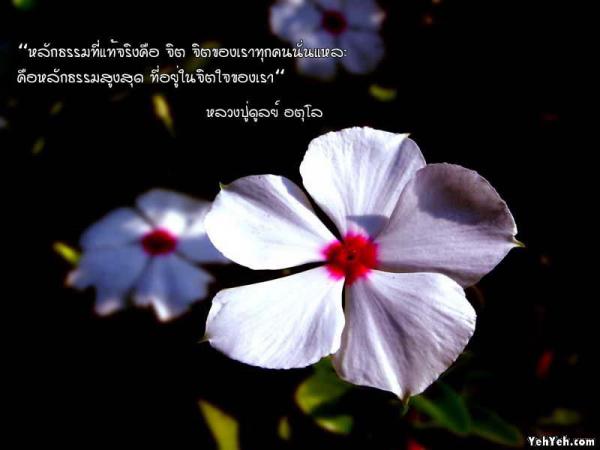 LoOkKaEW_G_0704250104.jpg