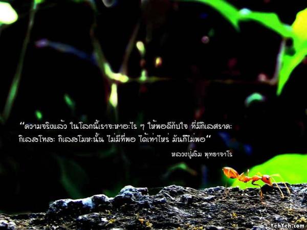 LoOkKaEW_G_0704250105.jpg