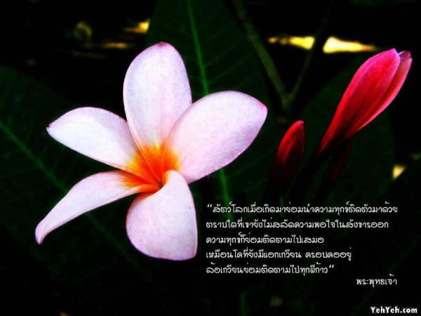 LoOkKaEW_G_0704250106.jpg