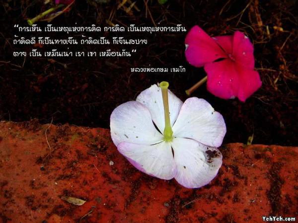 LoOkKaEW_G_0704250107.jpg