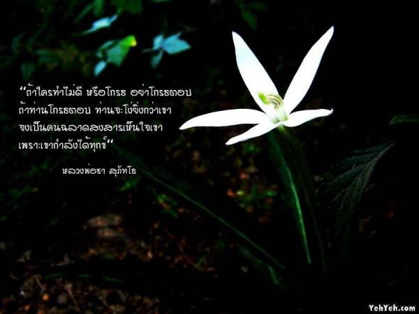 LoOkKaEW_G_0704250109.jpg