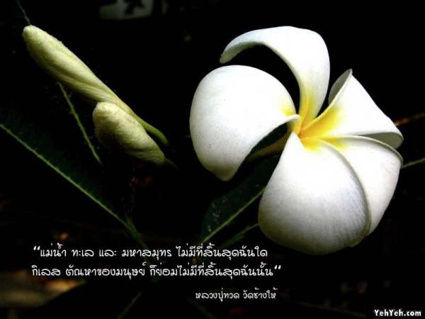 LoOkKaEW_G_0704250111.jpg