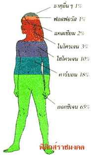 1_9.gif