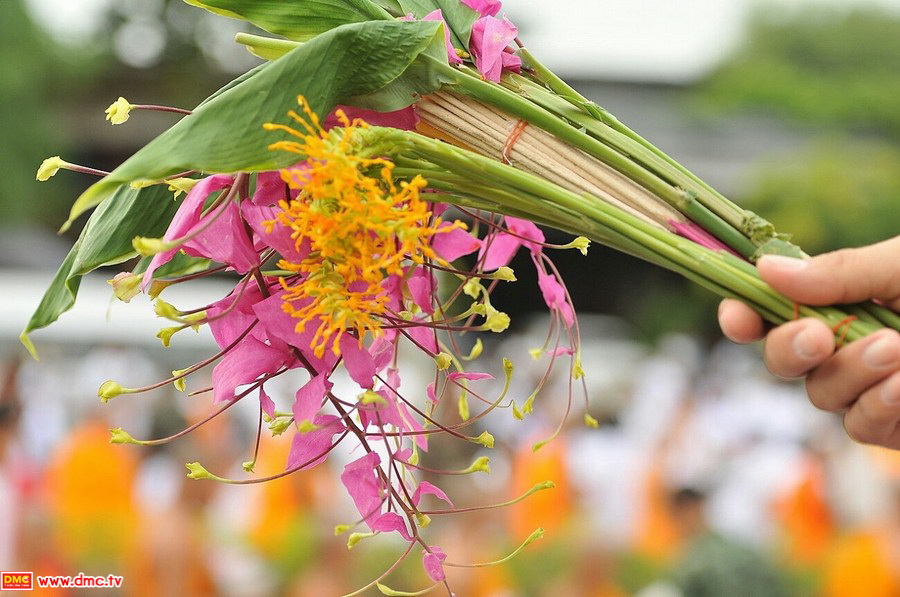 ผลการค้นหารูปภาพสำหรับ ตักบาตรดอกไม้ วัดเขาบางทราย 2559