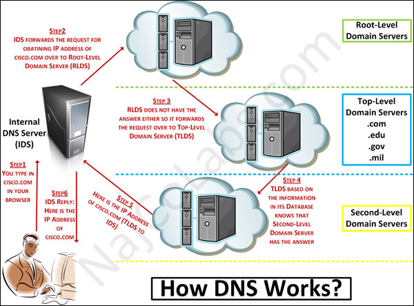 อินเทอร์เน็ต ภาพการทำงานของ DNS