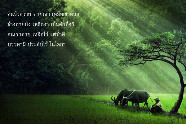 บทความให้กำลังใจ