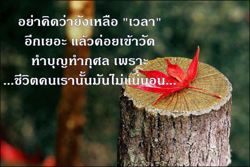 บทความให้กำลังใจ ข้อความให้กำลังใจ กลอนกำลังใจ