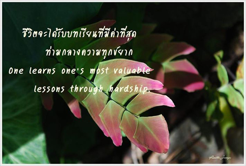 บทความให้กำลังใจ ข้อความให้กำลังใจ กลอนกำลังใจ