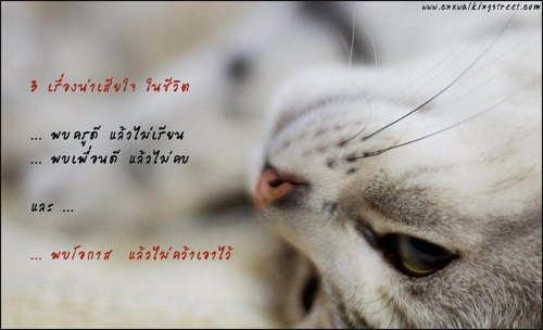 บทความให้กำลังใจ ข้อความให้กำลังใจ กลอนกำลังใจ บทความให้กำลังใจ ข้อความให้กำลังใจ กลอนกำลังใจ