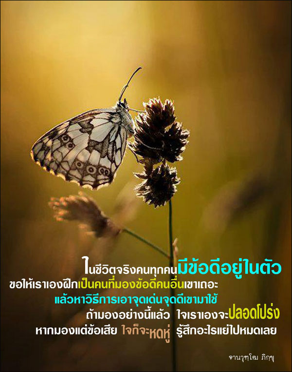 บทความให้กำลังใจ