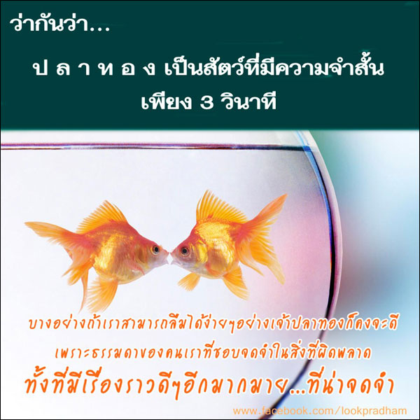 บทความให้กำลังใจ