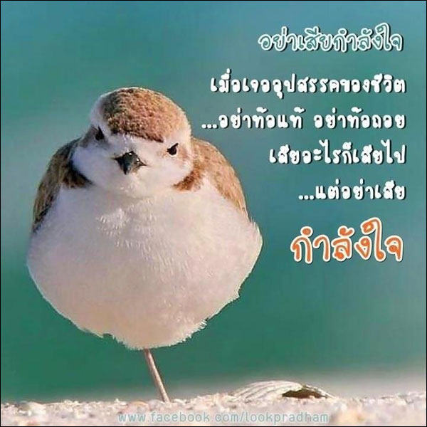 บทความให้กำลังใจ