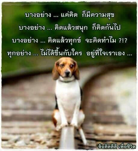 บทความให้กำลังใจ กลอนให้กำลังใจ คำคมกำลังใจ