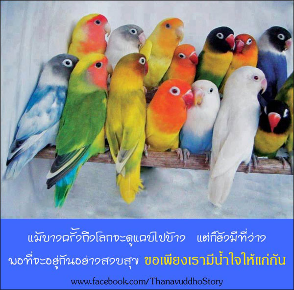 บทความให้กำลังใจ บทความให้กำลังใจ