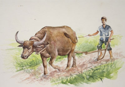 การเลี้ยงสัตว์นั้นส่วนใหญ่ควรเลี้ยงไว้เพื่อใช้เกื้อกูลกัน