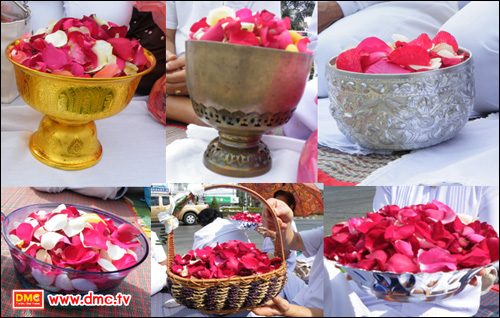 กลีบกุหลาบที่สวยที่สุดในโลก