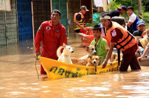 สถานการณ์น้ำท่วมทั่วไทย