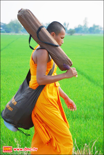 ก้าวย่างอย่างมั่นคง