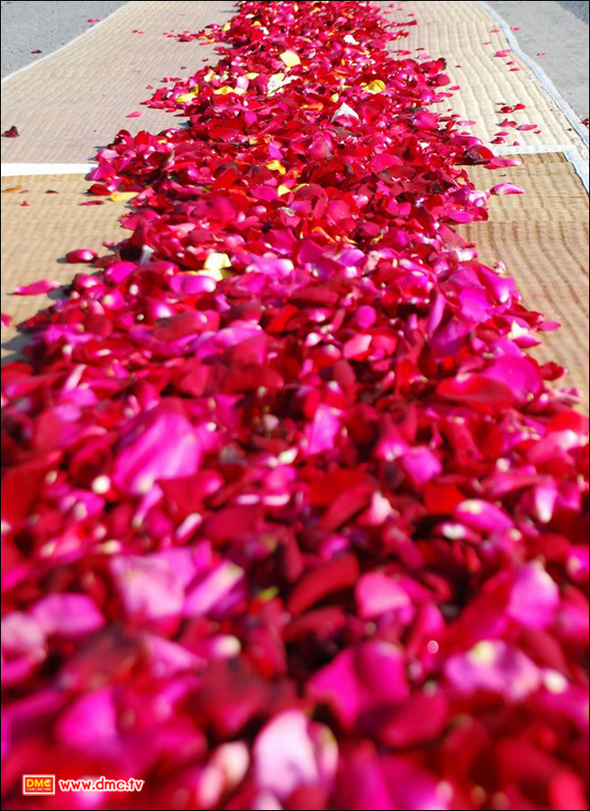 กลีบกุหลาบที่สาธุชนนำมา มีหลากสี นานาพันธุ์