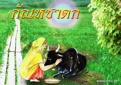 โคดำอัยยักกาฬะผู้มีความกตัญญูรู้คุณอย่างยิ่ง