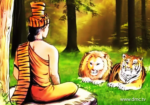 สัตว์ทั้งสองเดินทางไกล จนได้มาถึงที่พำนักพระฤาษีในที่สุด สัตว์ทั้งสองเดินทางไกล จนได้มาถึงที่พำนักพระฤาษีในที่สุด