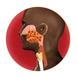 àºÕéÂÇ˹Õé àºÕéÂÇ˹Õé