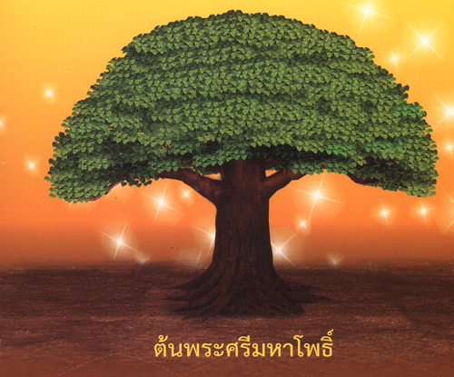 ต้นพระศรีมหาโพธิ์ ต้นพระศรีมหาโพธิ์
