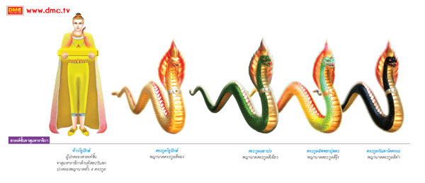 พญานาคทั้ง 4 ตระกูล พญานาคทั้ง 4 ตระกูล