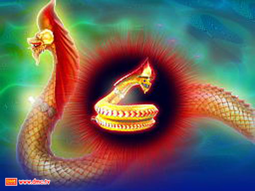 พญานาคแบบที่เกิดในครรภ์ พญานาคแบบที่เกิดในครรภ์