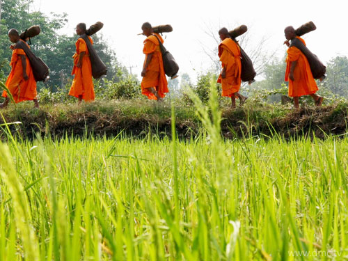 พระสัมมาสัมพุทธเจ้าทรงกำหนดให้พระภิกษุมีการเข้าพรรษาเมื่อเข้าฤดูฝน