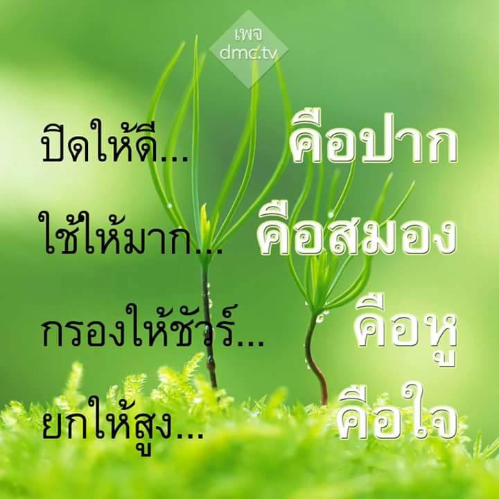 My Image 37