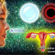 Born Off Womb, Grown In Womb