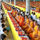 Monks, novices and lay Buddhists from all over Thailand and overseas join forces to create “global-cooling effects” on the Earth Day 22 April 2015
