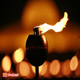 Magha Puja Day