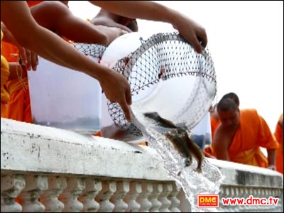 The Master Nun Chand’s Refectory invites you to save and release fish and birds on Saturday July 6th, 2014 The Master Nun Chand’s Refectory invites you to save and release fish and birds on Saturday July 6th, 2014