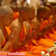 ชายสามโบสถ์หมายความว่าอย่างไร