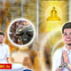 ทำอย่างไรจึงจะทดแทนบุญคุณผู้มีพระคุณได้