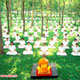 ทำไมวัดพระธรรมกายจึงมีคนศรัทธามาก
