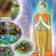 ทศชาติชาดก เรื่อง พระเตมีย์ ผู้ยิ่งด้วยเนกขัมมบารมี ตอนที่ 19