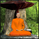 อานิสงส์การถือธุดงควัตร (ภาคพิเศษ) ตอนที่ 4