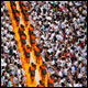 ประมวลภาพธุดงค์ธรรมชัย ปีที่ 2 วันที่ 23 มกราคม พ.ศ.2556