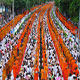 ประมวลภาพ ! พิธีตักบาตรพระ 15,000 รูป ครั้งแรกครั้งประวัติศาสตร์ ที่จตุจักร Update!