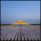 ประมวลภาพพิธีบรรพชาสามเณรในโครงการบวชพระ 1 แสนรูป ณ วัดพระธรรมกาย