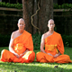 ธรรมทายาทนานาชาติ