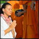 ขอเชิญร่วมตักบาตรฉลองพระใหม่ ธรรมทายาทนานาชาติ รุ่นที่ 11 ขอเชิญร่วมตักบาตรฉลองพระใหม่ ธรรมทายาทนานาชาติ รุ่นที่ 11