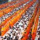 ตักบาตรพระ 1,000 รูป ณ ถ.กลางเมือง อ.ขุนยวม จ. แม่ฮ่องสอน ตักบาตรพระ 1,000 รูป ณ ถ.กลางเมือง อ.ขุนยวม จ. แม่ฮ่องสอน