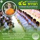 โครงการอุปสมบทหมู่บูชาธรรม 48 พรรษา หลวงพ่อธัมมชโย โครงการอุปสมบทหมู่บูชาธรรม 48 พรรษา หลวงพ่อธัมมชโย